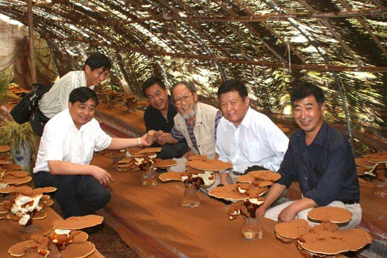 圖片關鍵詞 圖片關鍵詞