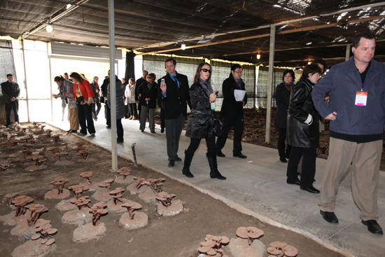 圖片關(guān)鍵詞 圖片關(guān)鍵詞