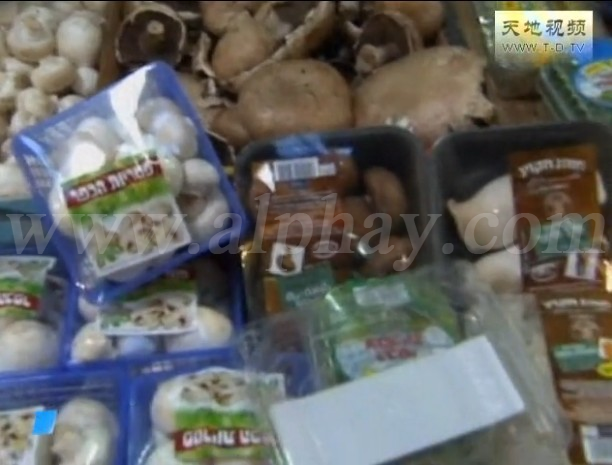 圖片關(guān)鍵詞 圖片關(guān)鍵詞