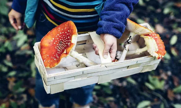 圖片關鍵詞 圖片關鍵詞