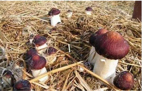 圖片關(guān)鍵詞 圖片關(guān)鍵詞