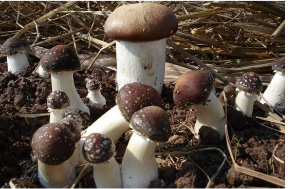 圖片關(guān)鍵詞 圖片關(guān)鍵詞