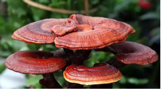 圖片關(guān)鍵詞 圖片關(guān)鍵詞