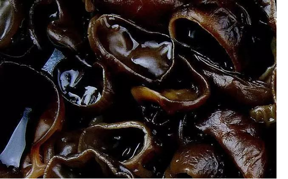 圖片關鍵詞 圖片關鍵詞