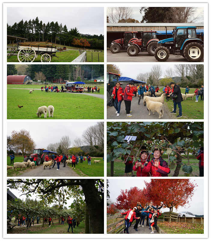 圖片關鍵詞 圖片關鍵詞