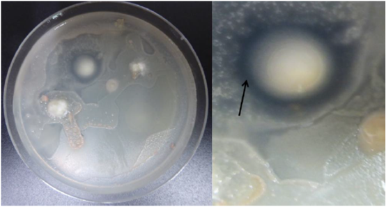圖片關鍵詞 圖片關鍵詞
