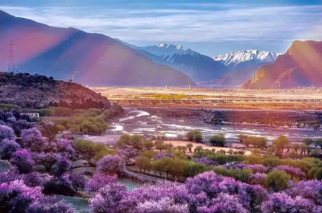 國家蘑菇地理：中國哪里的蘑菇最好吃？