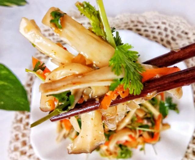 國家蘑菇地理：中國哪里的蘑菇最好吃？