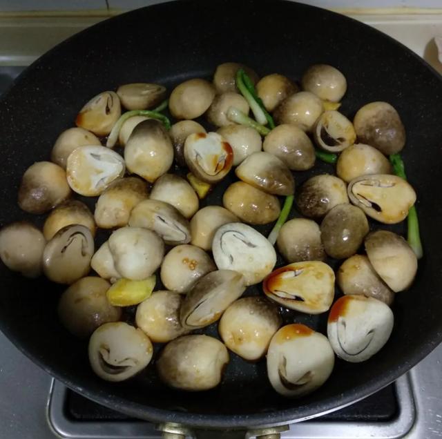 國家蘑菇地理：中國哪里的蘑菇最好吃？