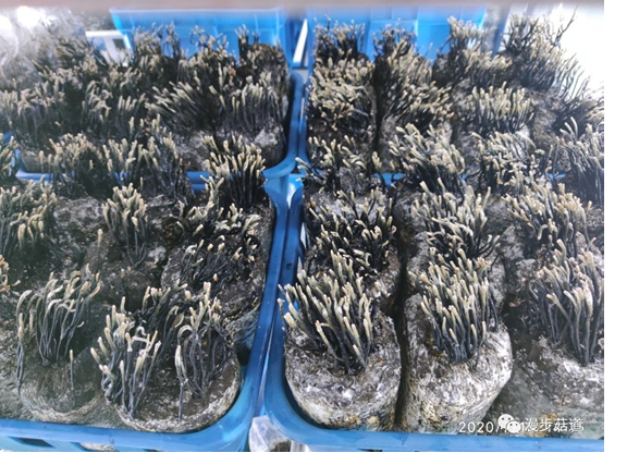 圖片關鍵詞 圖片關鍵詞