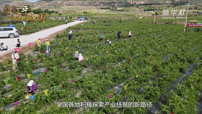 圖片關鍵詞 https://mmbiz.qpic.cn/mmbiz_gif/SxfSv2XOxf7F6h9Fnpicibhibo2FtzRrSNmLdOt3fmwJLcooiciaibFzfTBBtWZiaf4FKic7aLzD4ic6v5pdmJCN68iarmWA/640?wx_fmt=gif&tp=webp&wxfrom=5&wx_lazy=1