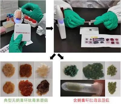 圖片關鍵詞 圖片