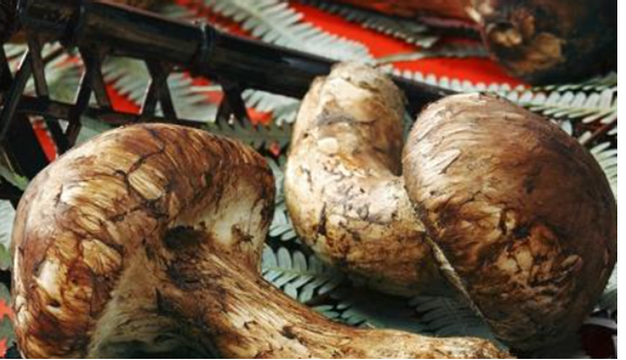 圖片關鍵詞 圖片關鍵詞