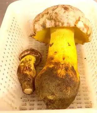 圖片關(guān)鍵詞 圖片