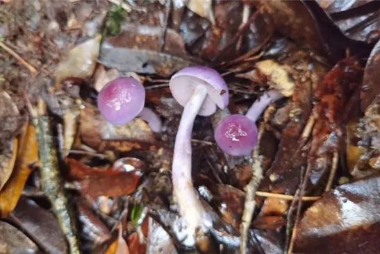 圖片關(guān)鍵詞 圖片