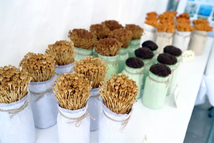 圖片關鍵詞 圖片關鍵詞