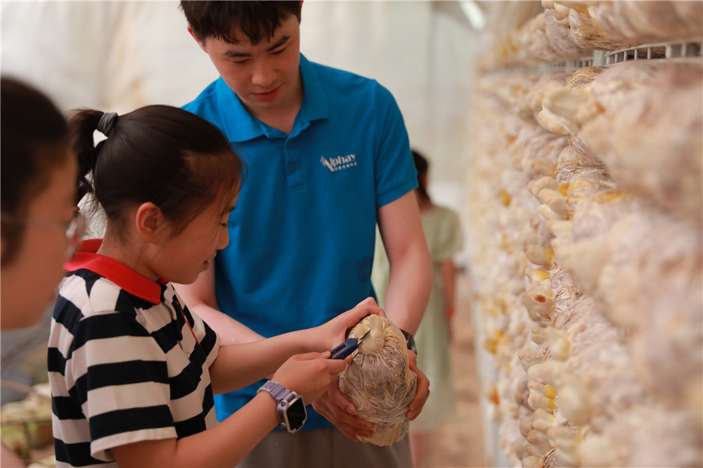 圖片關鍵詞 圖片關鍵詞