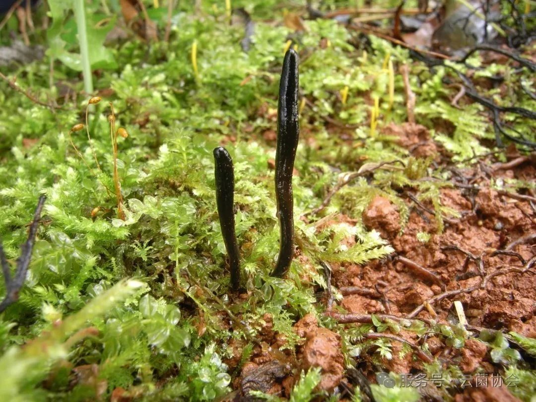 圖片關鍵詞 圖片關鍵詞