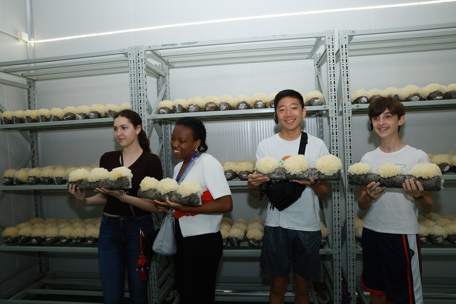 圖片關(guān)鍵詞