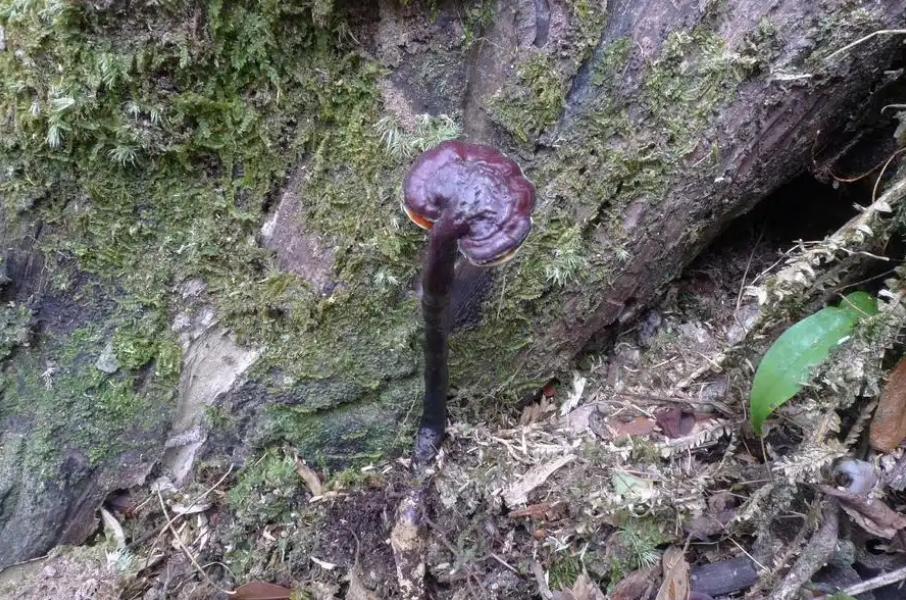 圖片關鍵詞 圖片關鍵詞